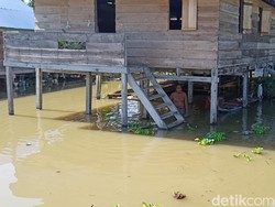4 Hari Banjir Luwu Utara Belum Surut, Ketinggian Air 1 Meter