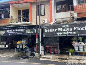 Places To Go: Berburu Bunga di Kota Baru Jogja