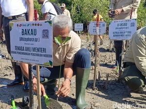 Kementerian LHK Tanam Seribu Bibit Mangrove di Teluk Kupang