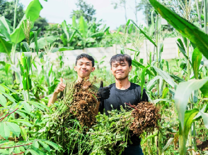 Sederet Inovasi Masoem University Lewat Prodi Teknologi Pangan