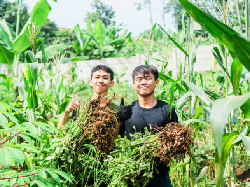 Sederet Inovasi Masoem University Lewat Prodi Teknologi Pangan