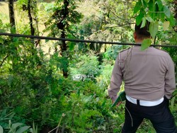 Mobil Terjun ke Jurang 20 Meter di Kampar, 3 Orang Dilarikan ke RS
