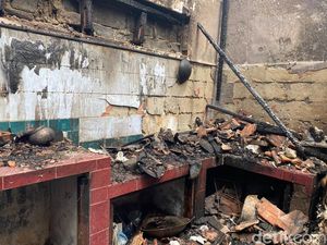 Kesaksian Karyawan Korban soal Kebakaran Maut di Agen Gas Cinere Kesaksian Karyawan Korban soal Kebakaran Maut di Agen Gas Cinere