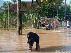 Momen Evakuasi Lansia di Tasikmalaya yang Terjebak Banjir