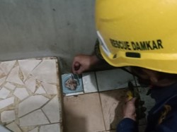 Kucing Nyangkut di Saluran Air Kamar Mandi Warga Bogor, Damkar Turun Tangan