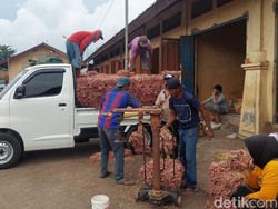 Melejitnya Harga Bawang Merah di Pasar Bawang Dringu Probolinggo