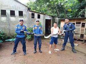 Khawatir Ular Sanca 3,5 Meter di Kandang Ternak, Warga Bogor Panggil Damkar Khawatir Ular Sanca 3,5 Meter di Kandang Ternak, Warga Bogor Panggil Damkar