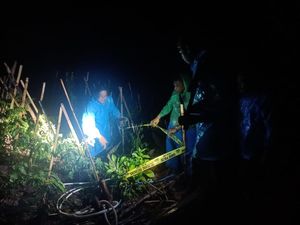 2 Pria Tanam Ganja di Kaki Gunung Latimojong Enrekang Ditangkap Polisi 2 Pria Tanam Ganja di Kaki Gunung Latimojong Enrekang Ditangkap Polisi