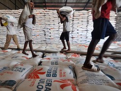 Stok Beras 1,6 Juta Ton, Diklaim Tertinggi dalam 4 Tahun