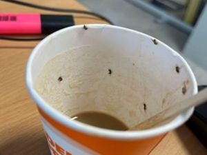 Wanita Ini Kritis Usai Minum Kopi dari Vending Machine di Bandara