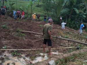 Longsor Terjang Padalarang KBB, Seorang Petani Tertimbun