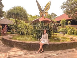 Bali Butterfly Park, Cek Daya Tarik hingga Rutenya!