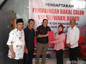 Diana Jayabaya Serahkan Formulir Penjaringan Cabup Pandeglang ke PDIP