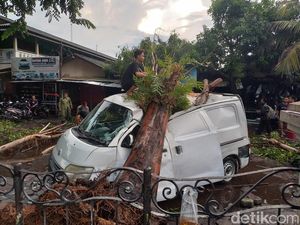 Mobil Tertimpa Pohon Tumbang di Solo, Pemilik Niatnya Ganti Spion Malah Ringsek
