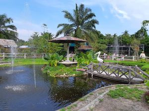 Rahmat Zoo and Park: Lokasi, Jam Buka, HTM, Wahana, dan Fasilitas Rahmat Zoo and Park: Lokasi, Jam Buka, HTM, Wahana, dan Fasilitas