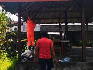 Damkar Evakuasi Sarang Tawon yang Sengat Warga hingga Masuk UGD