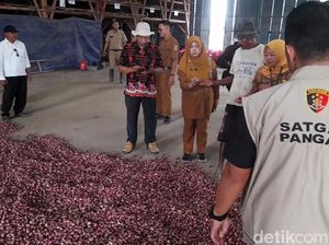 Ke Brebes, Satgas Pangan Mabes Polri Cek Penyebab Harga Bawang Merah Mahal Ke Brebes, Satgas Pangan Mabes Polri Cek Penyebab Harga Bawang Merah Mahal