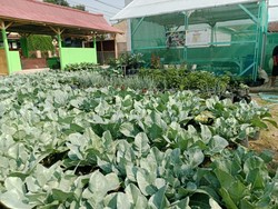 Siap-siap, Program Desa BRILiaN 2024 Batch 1 Kembali Dibuka