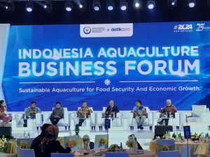 Bos BUMN Pangan Sebut Pelaku Usaha RI Mampu Budidaya Lobster Bos BUMN Pangan Sebut Pelaku Usaha RI Mampu Budidaya Lobster