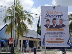 NasDem Buka Pendaftaran Bacagub Riau, Tanpa Mahar-Tak Ada Garansi Dukung Kader