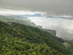 KLHK Temukan Beda Data Tutupan Hutan RI di Global Forest Map