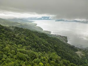 KLHK Pamer Upaya Bangun Ekonomi Berbasis Hutan di Forum UNFF KLHK Pamer Upaya Bangun Ekonomi Berbasis Hutan di Forum UNFF
