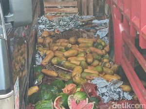 Nggak Laku Sampai Busuk, Pedagang Pepaya Kramat Jati Rugi Ratusan Juta!