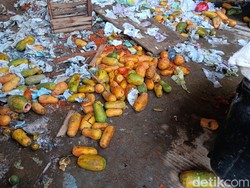 Sedihnya Pedagang Kramat Jati Buang Puluhan Ton Pepaya dan Rugi Ratusan Juta