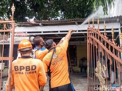 Ulat Bulu Teror Permukiman Warga Panji Situbondo