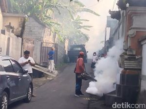 Demam Berdarah Makin Mengganas di Gianyar Demam Berdarah Makin Mengganas di Gianyar