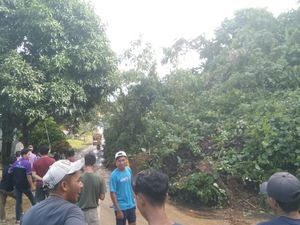 Jalan Trans Sulawesi di Mamuju Tengah Diterjang Longsor, Lalin Tersendat Jalan Trans Sulawesi di Mamuju Tengah Diterjang Longsor, Lalin Tersendat