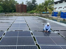 Listrik Energi Terbarukan RI Baru Tumbuh 20%