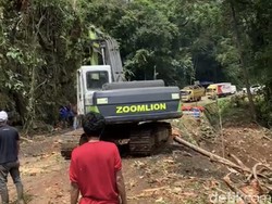 Penebangan Pohon di Poros Maros-Bone di Kappang, Lalin Sempat Macet 3 Km