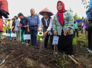 Siasat Pemkot Bandung Cegah Harga Cabai dan Bawang Merah Meroket Siasat Pemkot Bandung Cegah Harga Cabai dan Bawang Merah Meroket
