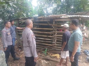 Geger 17 Kambing Warga Depok Dicuri, Tersisa Jeroan di Kandang