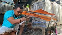 Menilik Produksi Sangkar Burung Surabaya