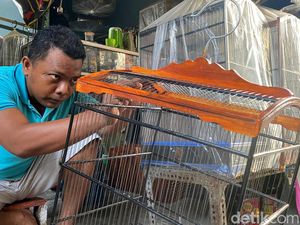 Menilik Produksi Sangkar Burung Surabaya Menilik Produksi Sangkar Burung Surabaya