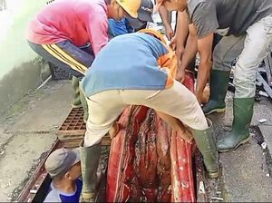 Duh, Kasur Dibuang ke Selokan Jadi Biang Kerok Banjir di Gresik Duh, Kasur Dibuang ke Selokan Jadi Biang Kerok Banjir di Gresik