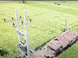 Kehadiran Listrik PLN Genjot Produktivitas Pertanian di Ponorogo