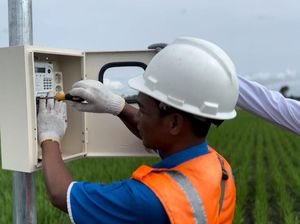 PLN Enjiniring Raih Pendapatan Rp 867 M, Naik 61,8%