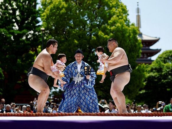 Ritual Unik Bayi Sumo Menangis di Jepang