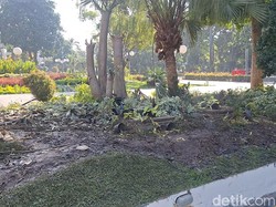 Sebagian Tanaman di Taman Balai Kota Surabaya Rusak Usai Nobar Timnas U-23
