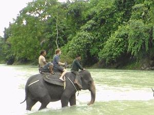 Turis asal Belanda yang Berkunjung ke Sumut Meningkat 446%