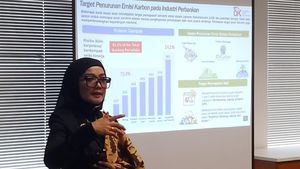 Inisiatif Keuangan Berkelanjutan