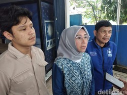 Dipinang Bacagub Sumsel, Meli Mustika Daftar Jadi Bakal Wagub ke PAN-PDIP