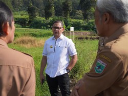 Kota Batu Bakal Punya Pusat Pelatihan BMX