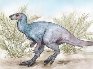 Heboh Fosil Dinosaurus di Argentina, Berusia 90 Juta Tahun Heboh Fosil Dinosaurus di Argentina, Berusia 90 Juta Tahun