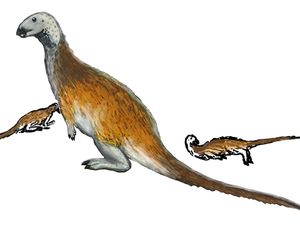 Ilmuwan Temukan Fosil Dinosaurus yang Jago Lari Ilmuwan Temukan Fosil Dinosaurus yang Jago Lari
