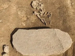 Kuburan Kuno Berusia 4.200 Tahun Ditemukan di Jerman, Ada Kepercayaan Zombie Kuburan Kuno Berusia 4.200 Tahun Ditemukan di Jerman, Ada Kepercayaan Zombie