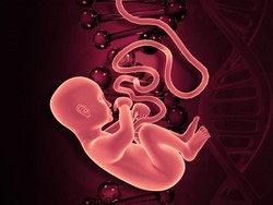 Wanita di Mataram Pura-pura Temukan Janin Bayi, Ternyata Ibu Kandungnya